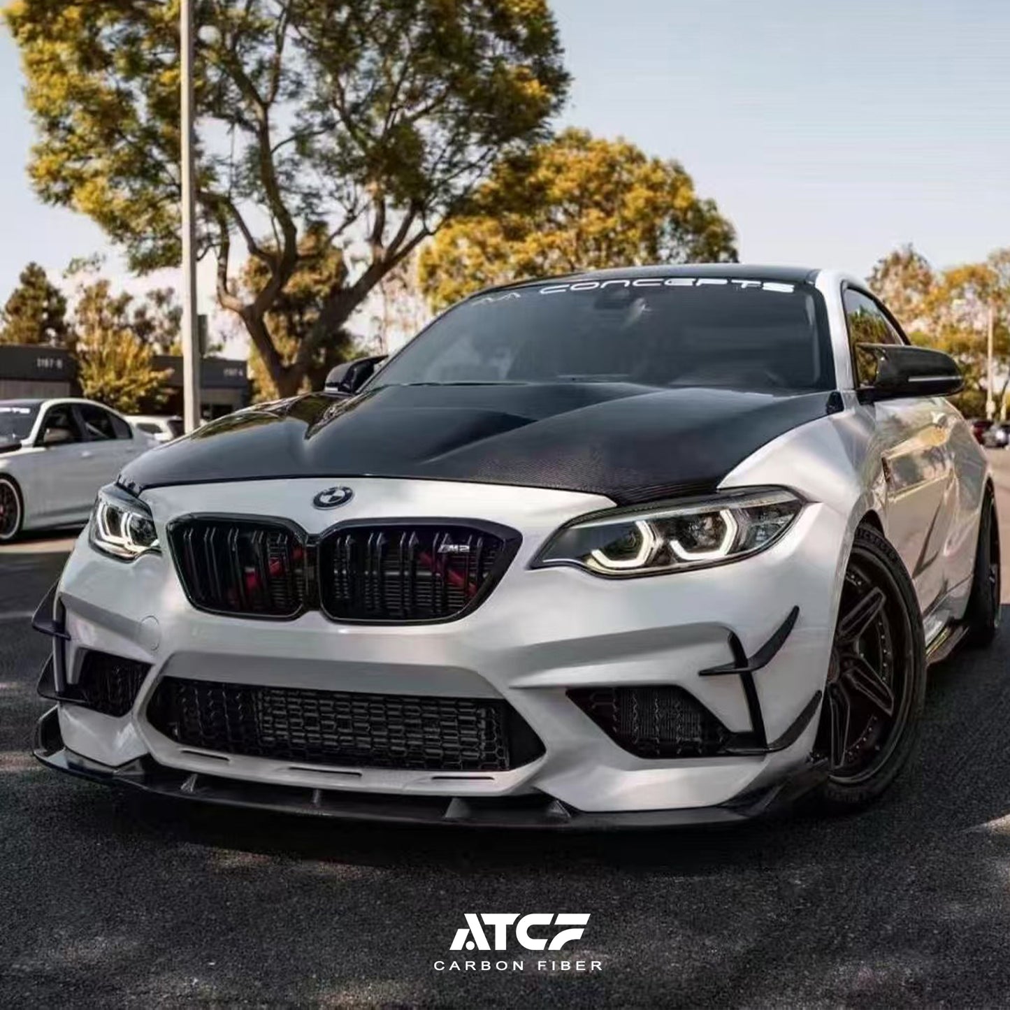 BMW F87 M2 M2C Carbon Fiber 3D Front LIP