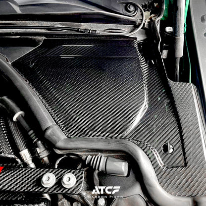 BMW  G80/G81/G82/G83/G87  Carbon Fiber Top Grill ( cowls)